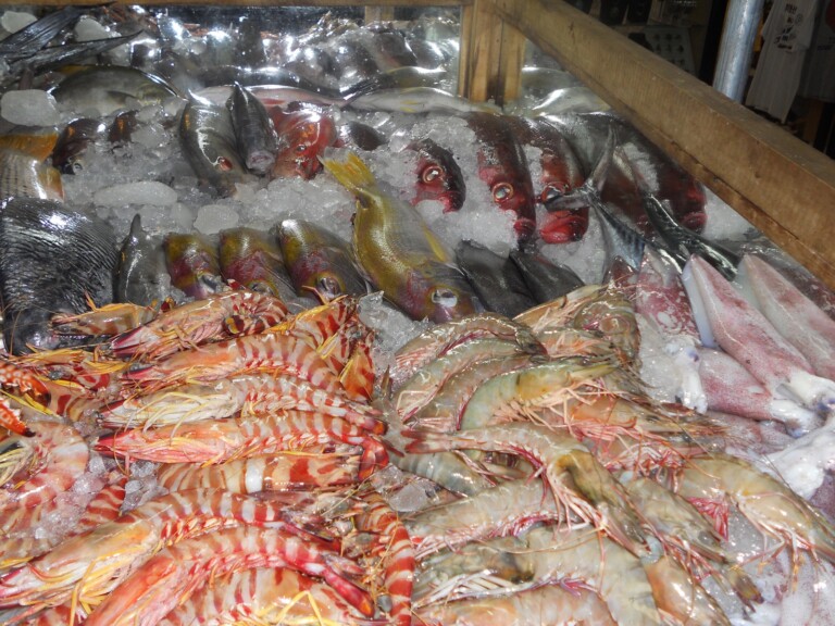 Seafood Sustainability