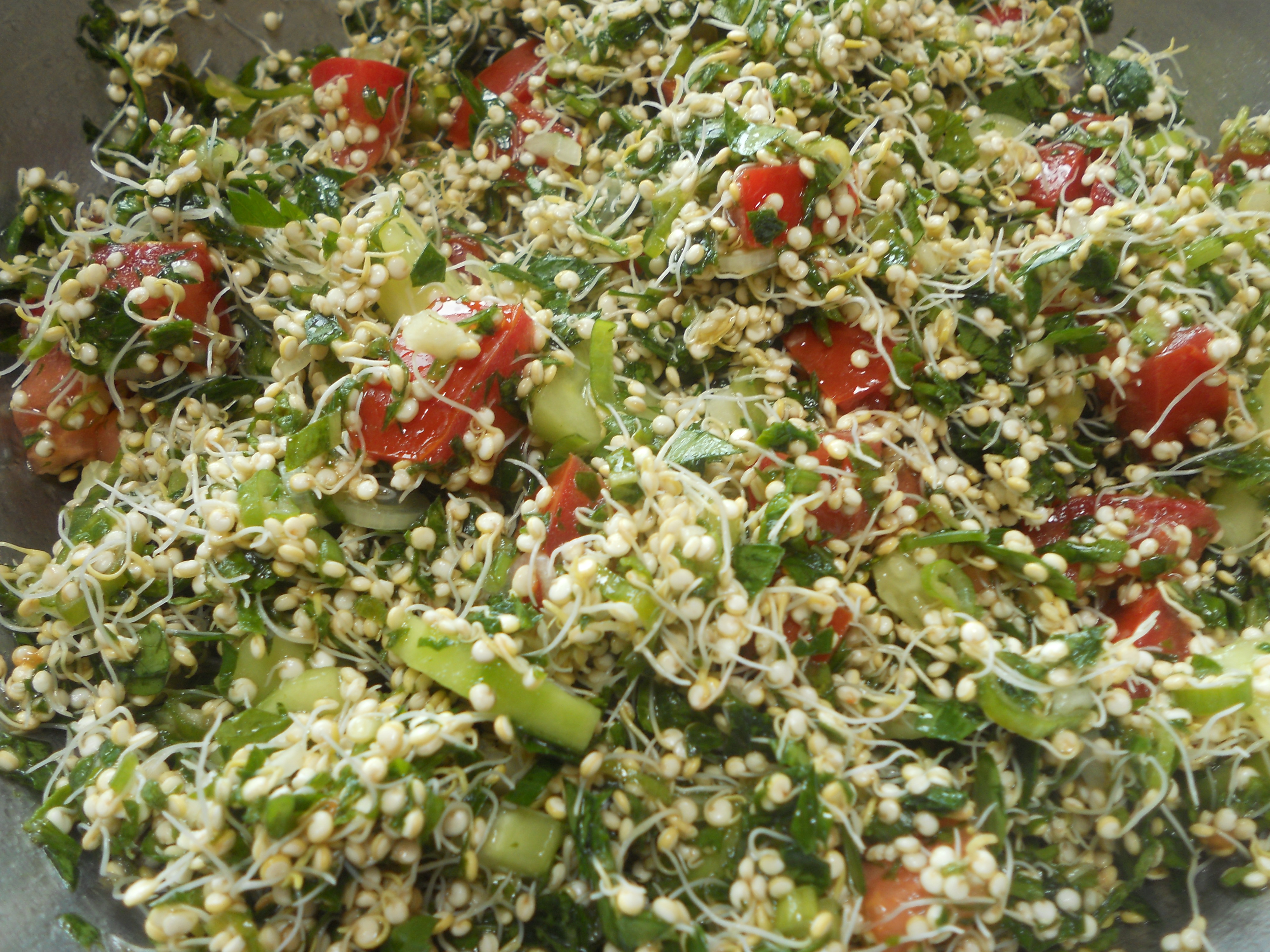 Sprouted Quinoa Tabouli Eat Well
