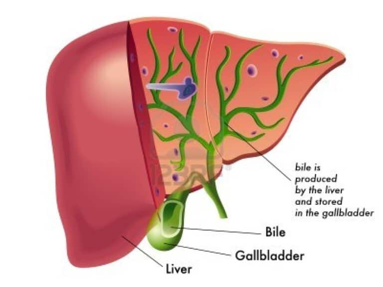 My 7 Favorite Liver Cleansing Foods