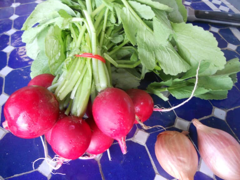 Do You Eat Radish Greens Along with your Radishes