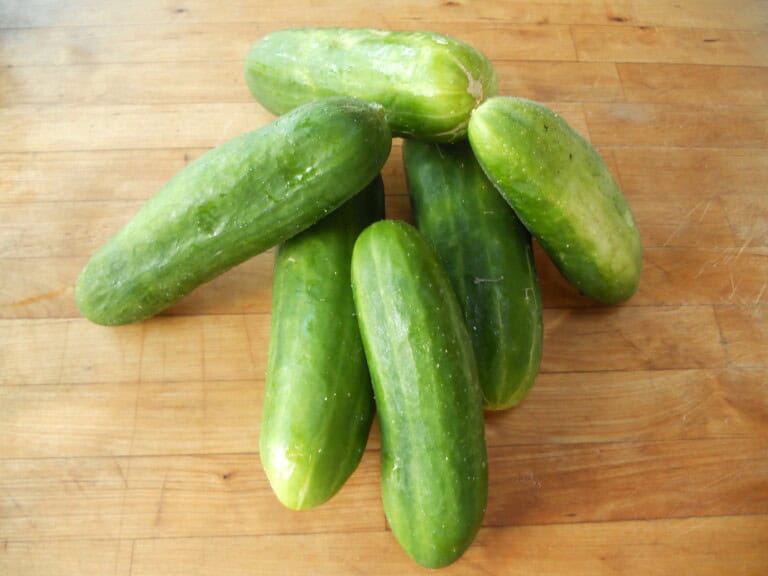 Cucumbers Many Health Benefits