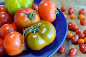 Tomatoes DSC_0517