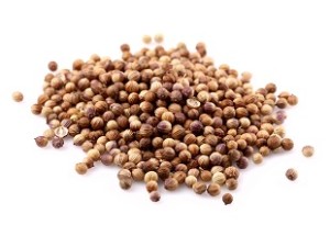 lifespa-image-five-spices-coriander