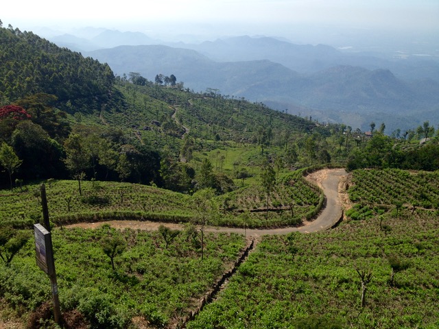 Sri Tea Country