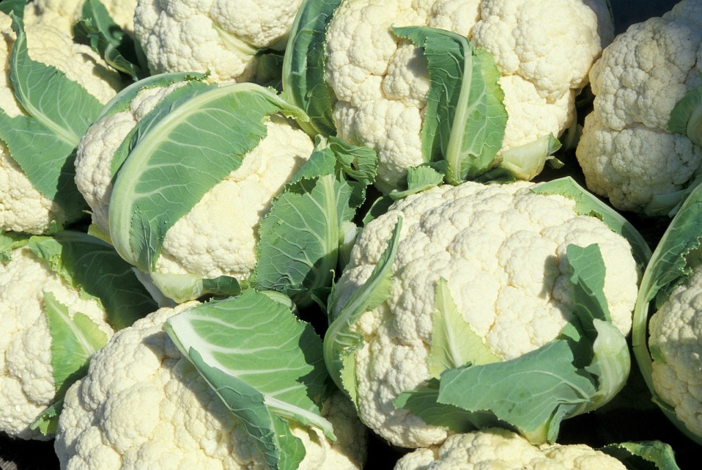 8-reasons-why-you-should-eat-cauliflower-today