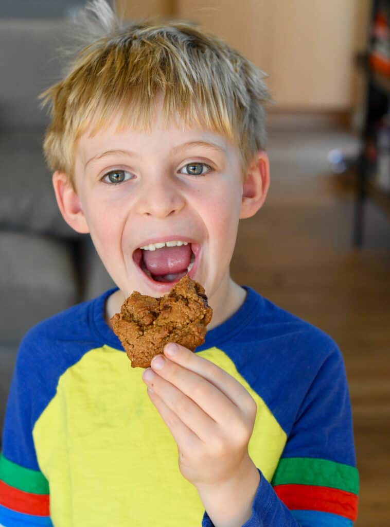 Soft Chewy Paleo Chocolate Chip Cookies | Eat Well Enjoy Life