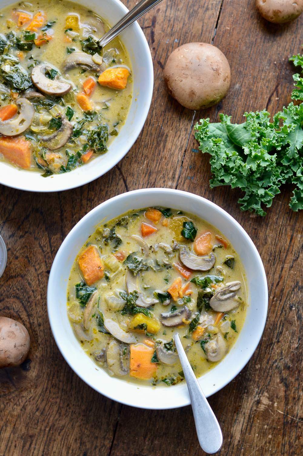 Cozy Mushroom Vegetable Soup 2 bowls