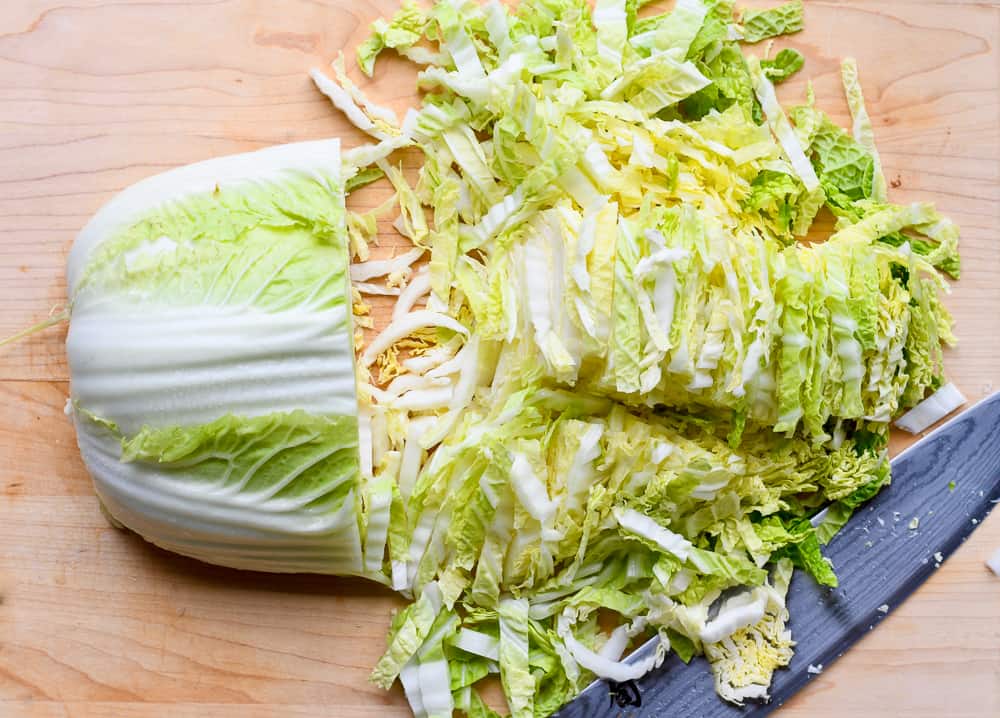 Vietnamese Chicken Salad napa cabbage