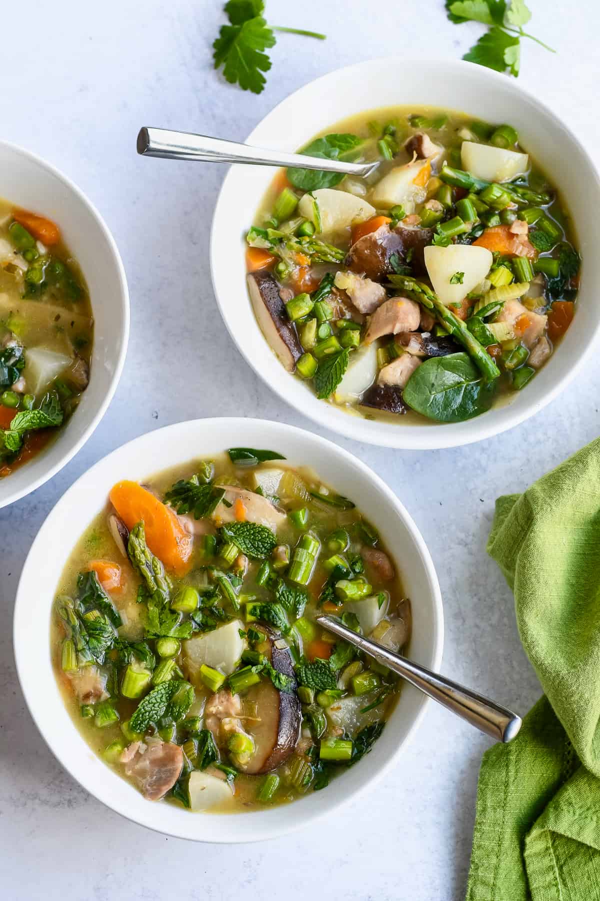 Spring Vegetable and Chicken Stew 2 bowls with spoons