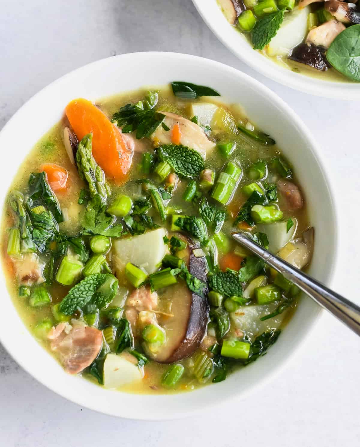 Spring Vegetable and Chicken Stew close up with spoon