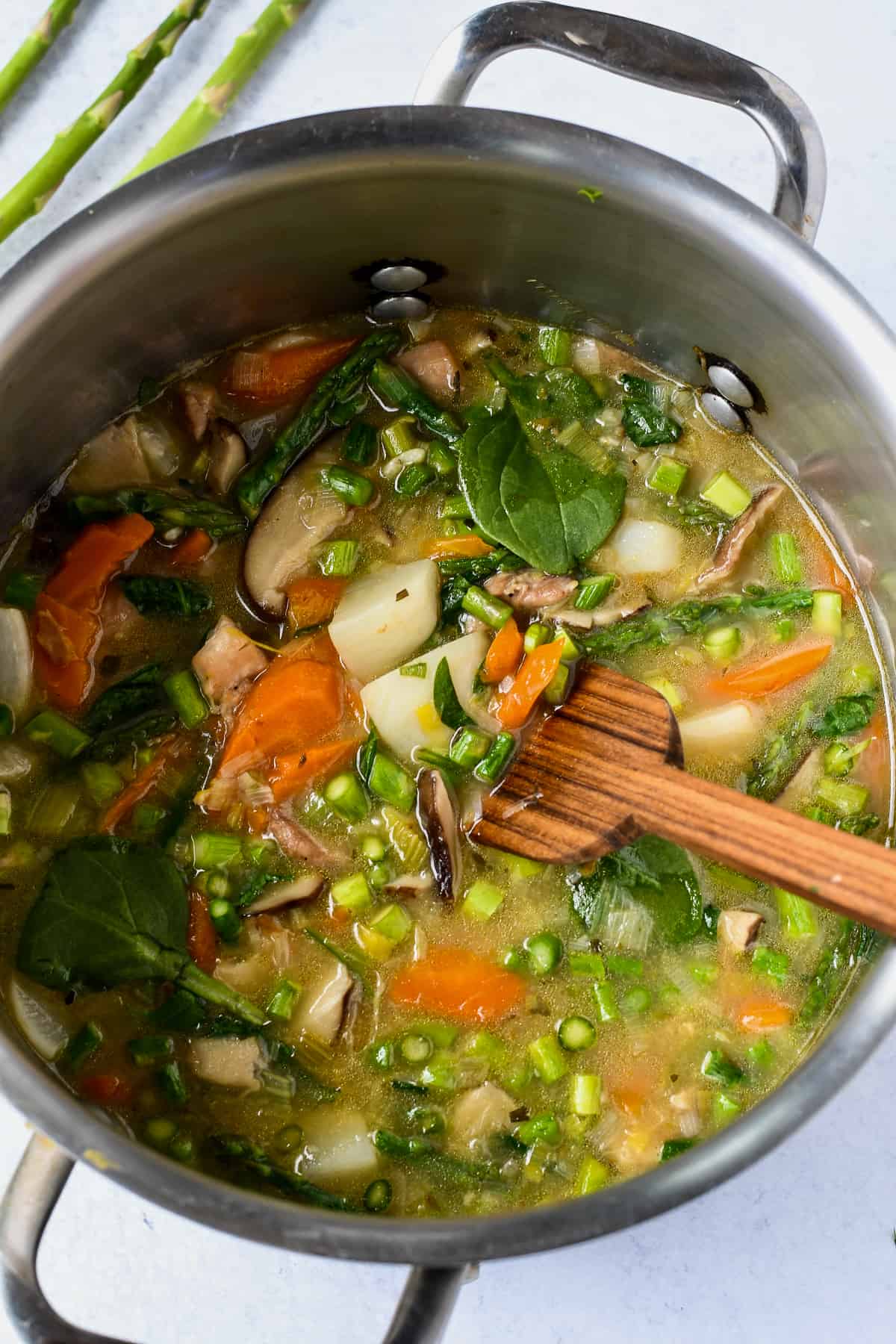 Spring Vegetable and Chicken Stew Pot