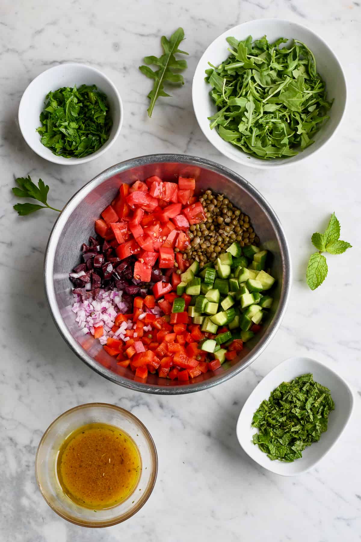 Mediterranean French Lentil Salad chopped vegetables ini bowl unmixed
