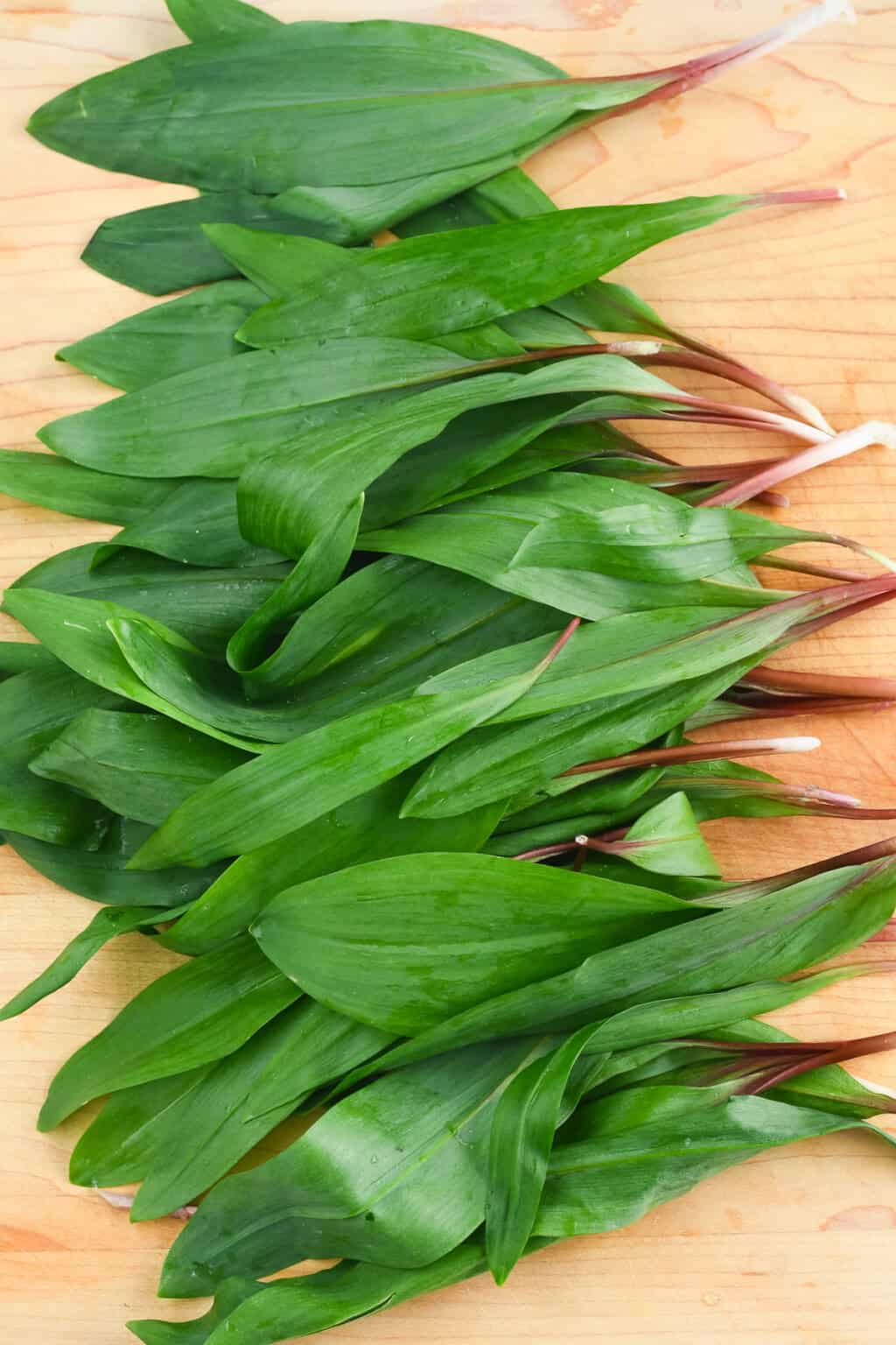 Wisconsin Wild Ramps Sautéed Wild Ramps