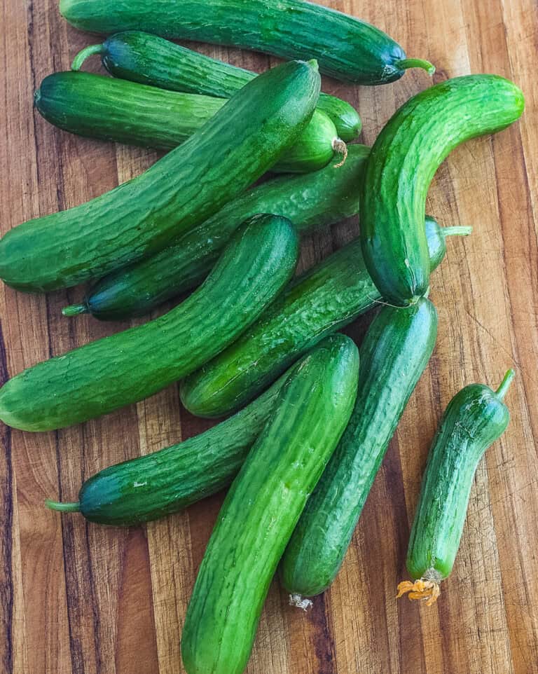 Health Benefits of Cucumbers