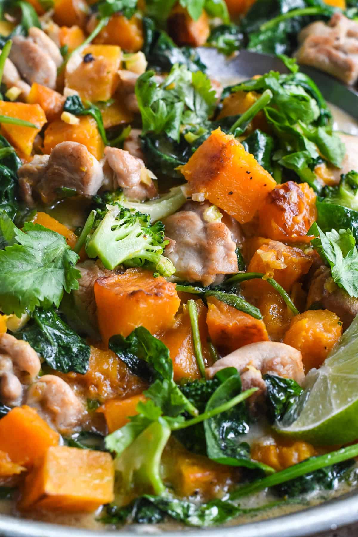 Ginger Coconut Chicken with Butternut Squash close up