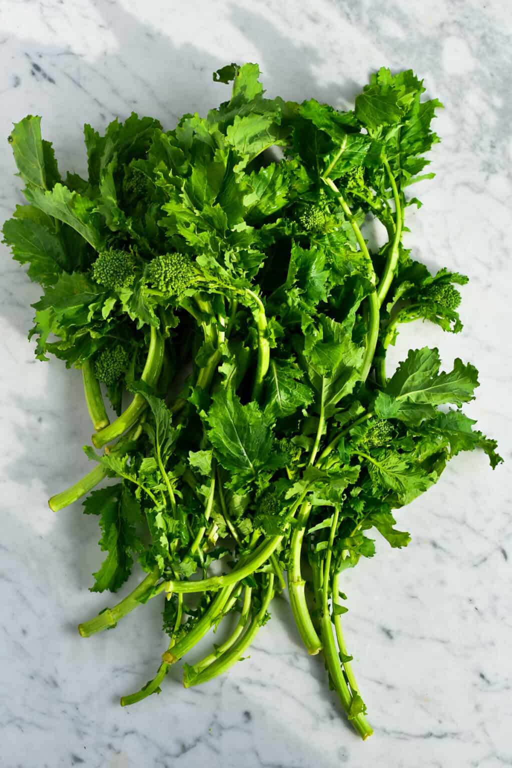 Sautéed Broccoli Rabe with Garlic and Olives