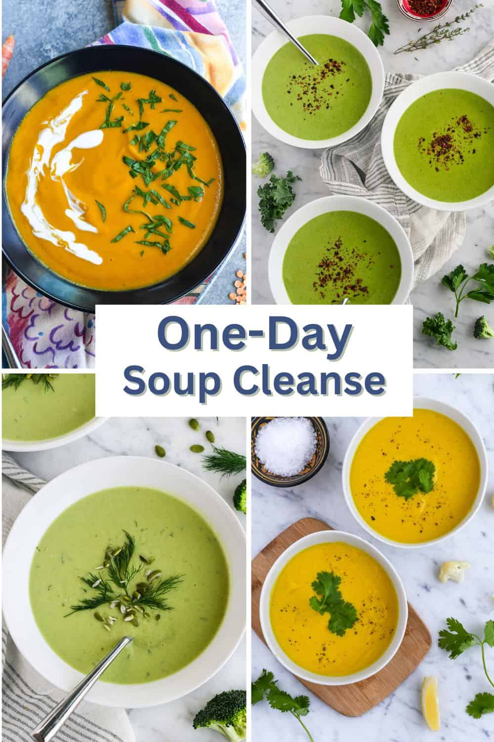 【2回分】1DAY CLEANSE SET GAYU & VEGGIE SOUP One Day Soup Cleanse for Balance and Nourishment
