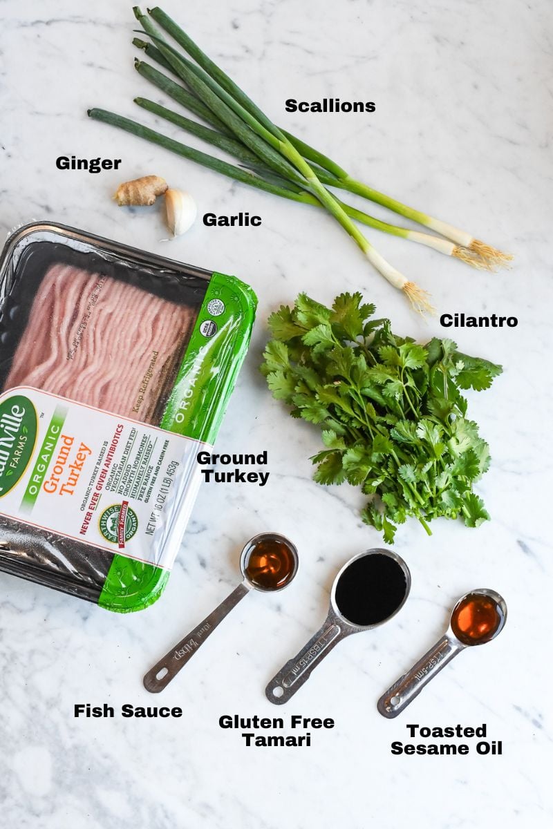 Asian Turkey Meatballs ingredients